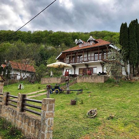 Villa Balconlux - Zavojsko Jezero, Pirot Exterior foto