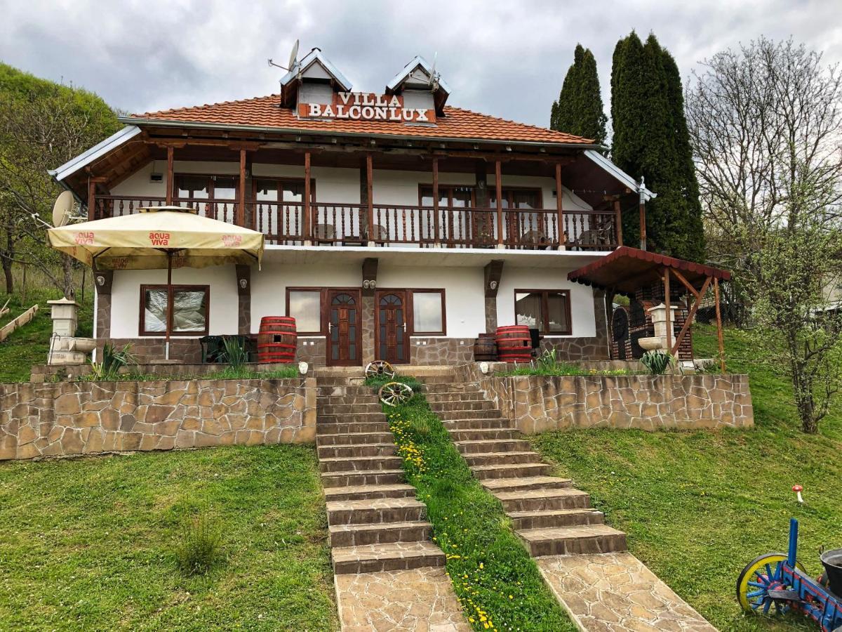 Villa Balconlux - Zavojsko Jezero, Pirot Exterior foto