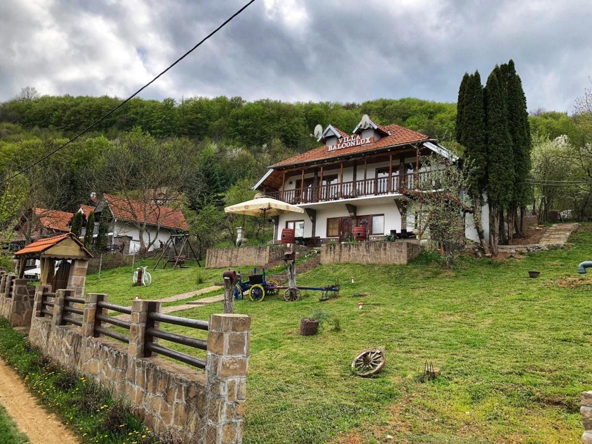 Villa Balconlux - Zavojsko Jezero, Pirot Exterior foto